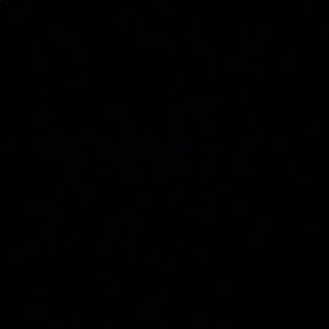 Meet your Posher, Nene🅱️andsss😈